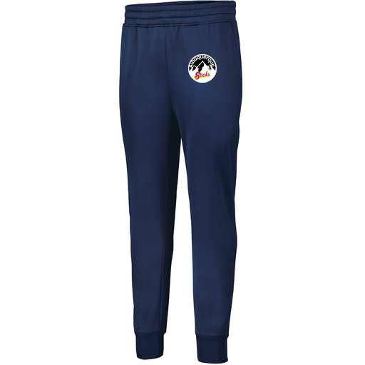 [5566.065.XS-LOGO1] Men's PERFORMANCE FLEECE JOGGER (Adult XS, Navy, Logo 1)