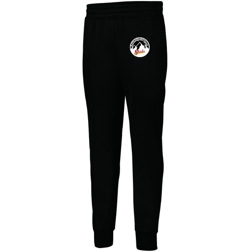 [5566.080.XS-LOGO1] Men's PERFORMANCE FLEECE JOGGER (Adult XS, Black, Logo 1)